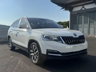 Skoda Kamiq 2021 — фото 3 из 26