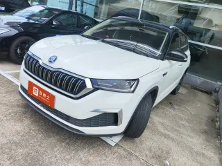 Skoda Kamiq 2022 — фото 1 из 6