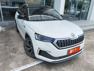Skoda Kamiq 2022 — фото 2 из 6