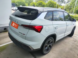 Skoda Kamiq 2022 — фото 3 из 6