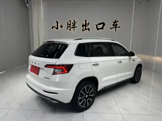 Skoda Karoq 2022 — фото 4 из 29