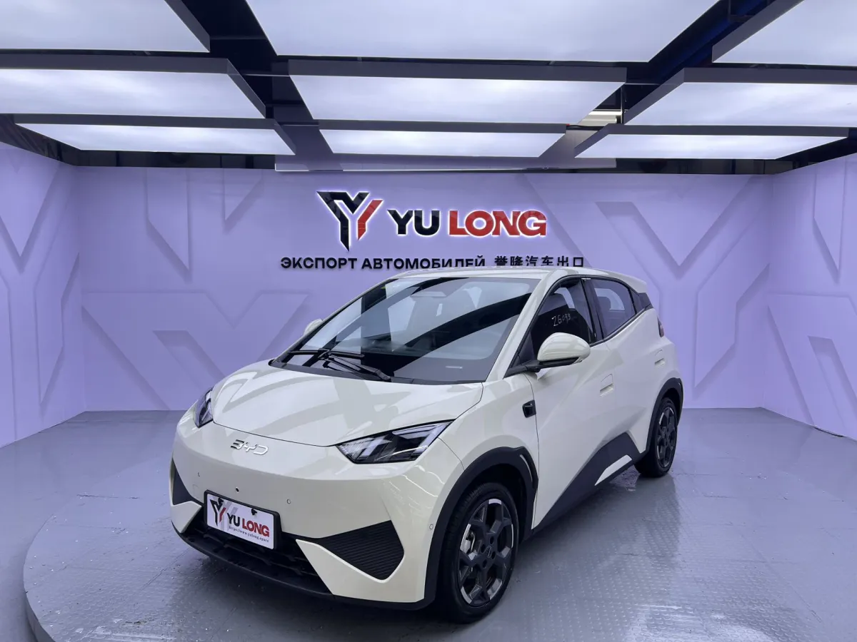BYD Seagull