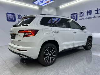 Skoda Karoq 2023 — фото 17 из 29
