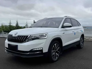 Skoda Kamiq 2023 — фото автомобиля из Китая