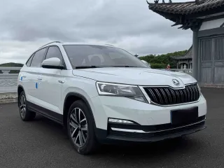 Skoda Kamiq 2023 — фото 3 из 19