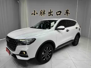 Haval H6 2023 — фото автомобиля из Китая