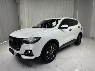 Haval H6 2023 — фото автомобиля из Китая