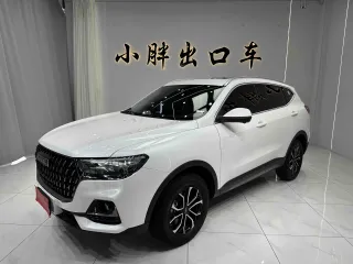 Haval H6 2023 — фото автомобиля из Китая