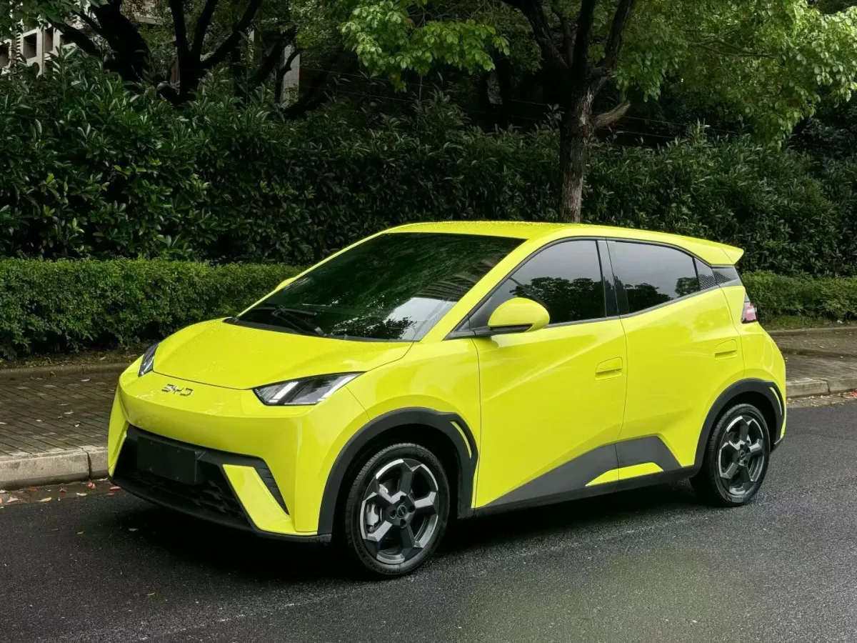 BYD Seagull 2024