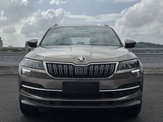 Skoda Karoq 2022 — фото 24 из 27