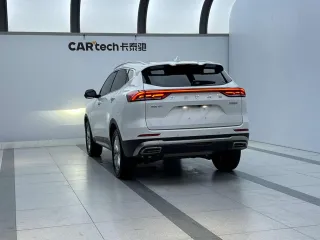 Haval H6 2022 — фото 3 из 20