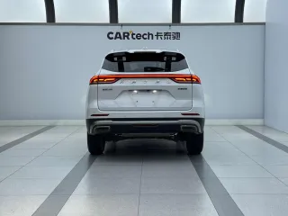 Haval H6 2022 — фото 3 из 19