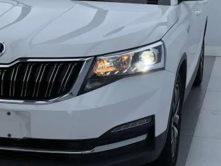 Skoda Kamiq 2022 — фото 4 из 14
