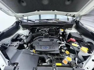 Subaru Forester 2021 — фото 14 из 19