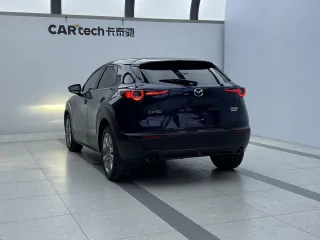 Mazda CX-30 2021 — фото 5 из 11