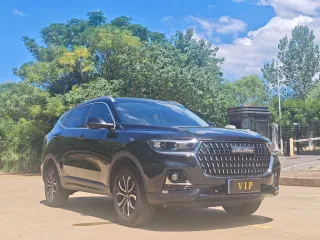 Haval H6 2023 — фото 20 из 21