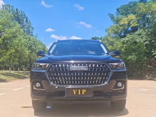 Haval H6 2023 — фото 21 из 21