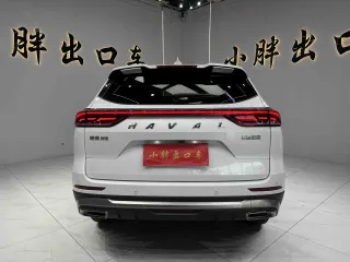 Haval H6 2022 — фото 3 из 11
