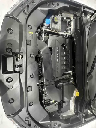 Haval H6 2022 — фото 11 из 11