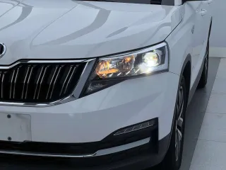 Škoda Kamiq 2021 — фото 6 из 23