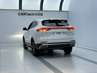 Haval H6 2021 — фото 8 из 35