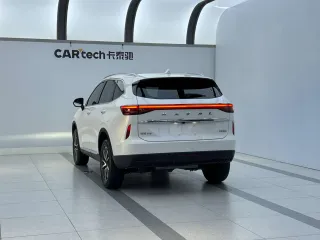 Haval H6 2022 — фото 8 из 35