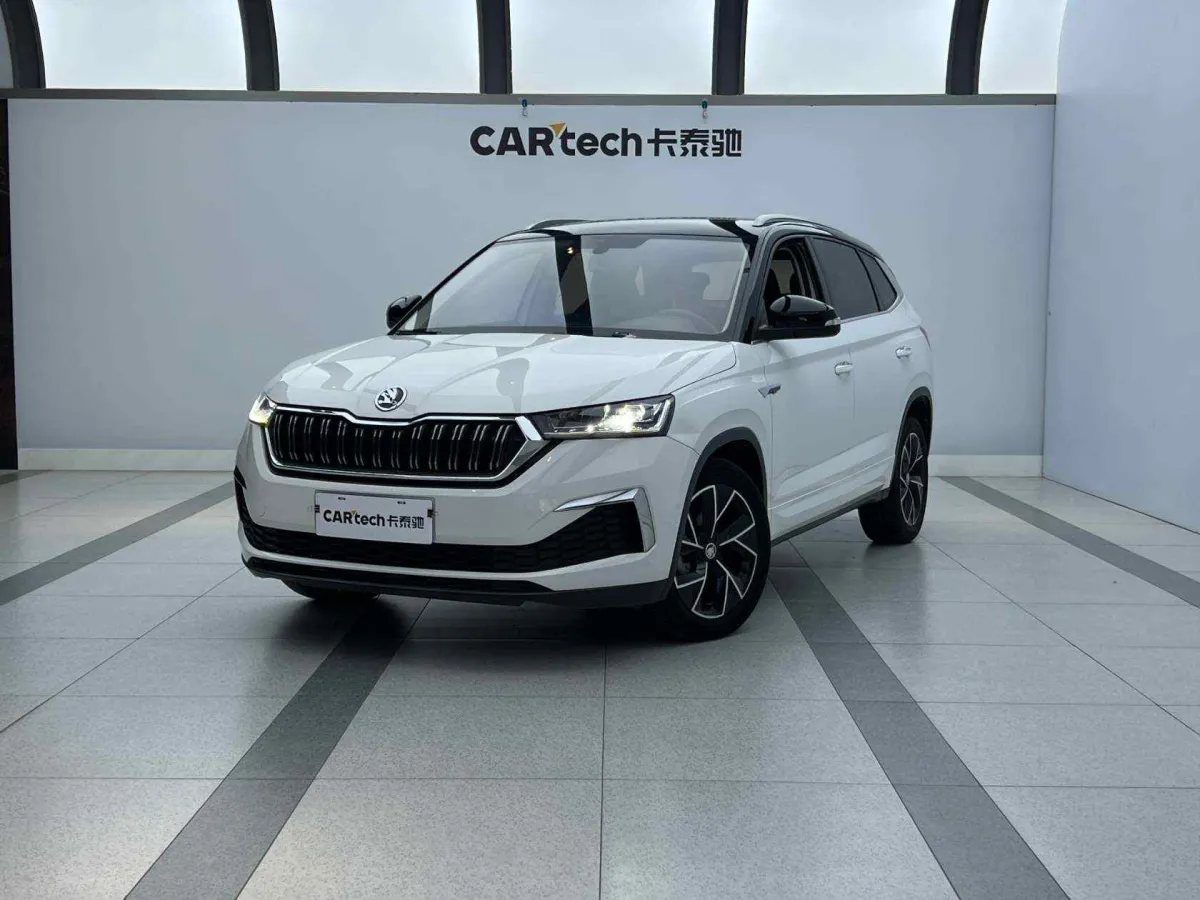 Škoda Kamiq 2021 — фото 1 из 26