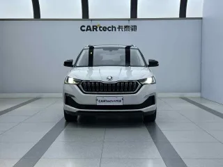 Škoda Kamiq 2021 — фото 3 из 26