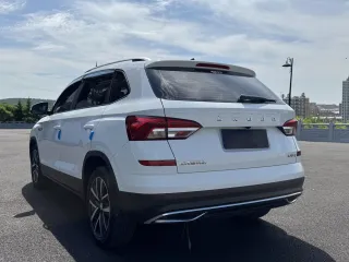 Skoda Kamiq 2023 — фото 50 из 56