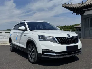 Skoda Kamiq 2023 — фото 30 из 56