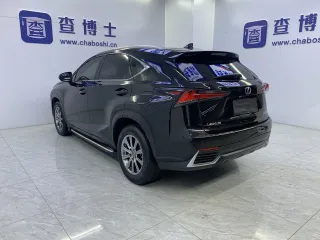 Lexus NX 2020 — фото 16 из 29