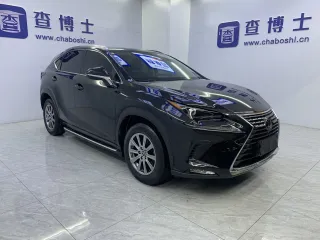 Lexus NX 2020 — фото 3 из 29