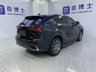 Lexus NX 2020 — фото 18 из 29