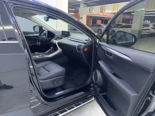 Lexus NX 2020 — фото 14 из 29