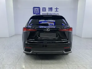 Lexus NX 2020 — фото 17 из 29