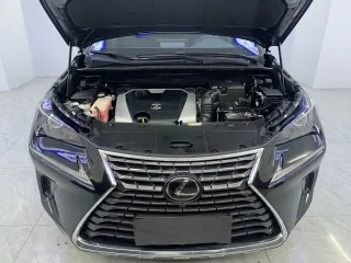 Lexus NX 2020 — фото 24 из 29