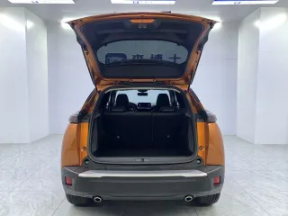 Peugeot 2008 2021 — фото 19 из 28