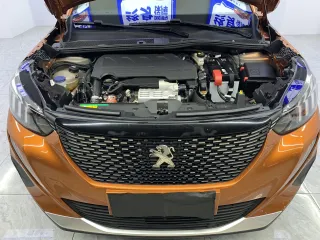 Peugeot 2008 2021 — фото 23 из 28