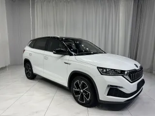 Skoda Kamiq 2022 — фото 3 из 25