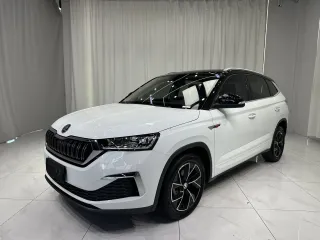 Skoda Kamiq 2022 — фото 1 из 25