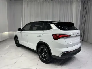 Skoda Kamiq 2022 — фото 6 из 25