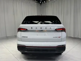 Skoda Kamiq 2022 — фото 5 из 25