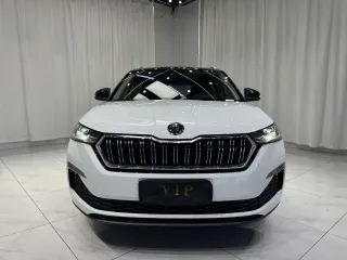 Skoda Kamiq 2022 — фото 2 из 25