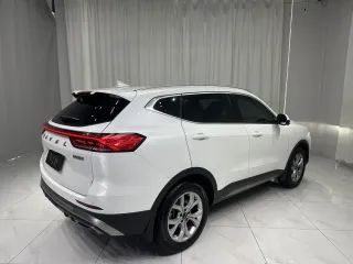 Haval H6 2022 — фото 4 из 25