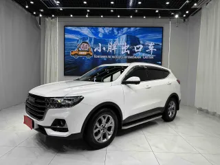 Haval H6 2021 — фото автомобиля из Китая
