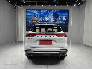 Haval H6 2021 — фото 3 из 20