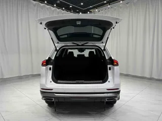 Haval H6 2021 — фото 11 из 20