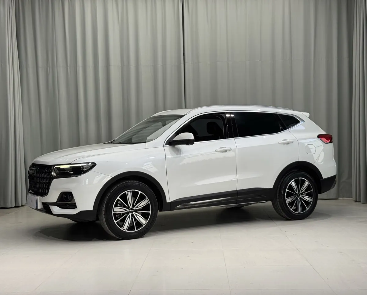 Haval 哈弗H6 国潮版 1.5T 自动冠军版