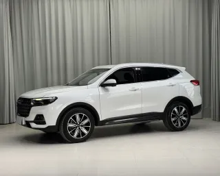 Haval 哈弗H6 国潮版 1.5T 自动冠军版 2023 — фото автомобиля из Китая