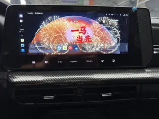 Haval Cool Dog KuGou 2022 — фото 3 из 27